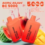 BANG Blaze BC5000 ピーチマンゴーウォーターメロン味 vape 吸い 方 5000パフ 使い捨てVAPE