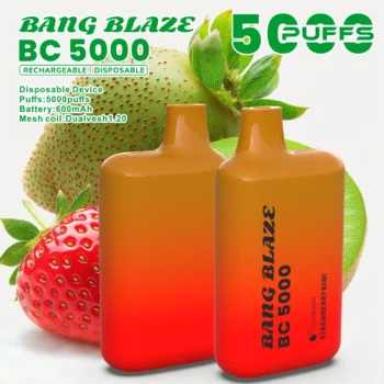BANG Blaze BC5000 ストロベリーキウイ味 vape とは 5000パフ 使い捨てVAPE