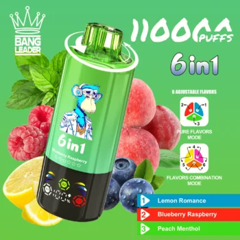 Bang Leader 110K – Lemon Romance & Blueberry Raspberry & Peach Menthol