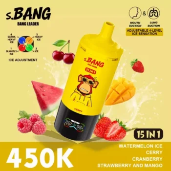 Bnag Leader 450k - Watermelon Ice & Cerry & Cranberry & Strawberry And Mango