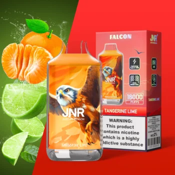 JNR Falcon 16000 Strawberry Watermelon Ice - VAPE 製品画像
