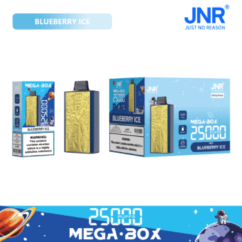 JNR Mega Box 25000 Blueberry Ice - JNR Mega Box 25000 Blueberry Ice