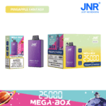 JNR Mega Box 25000 Pineapple Fantasy - JNR Mega Box 25000 Pineapple Fantasy
