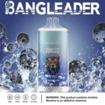 Puff 20k Bang Leader 20000-blueberry-ice