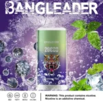 Puff 20k Bang Leader 20000-blueberry-mint