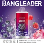 Puff 20k Bang Leader 20000-blueberry-raspberry-.jpg