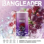 Puff 20k Bang Leader 20000-grape-ice-.jpg
