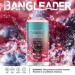 Puff 20k Bang Leader 20000-mix-fruit-.jpg