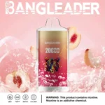 Puff 20k Bang Leader 20000-peach-ice.jpg