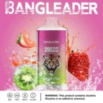 Puff 20k Bang Leader 20000-strawberry-kiwi