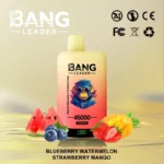 Puff 45k Bang Leader 45000-blueberry-watermelon-strawberry-mango