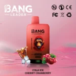 Puff 45k Bang Leader 45000-cola-ice-cherry-cranberry.jpg